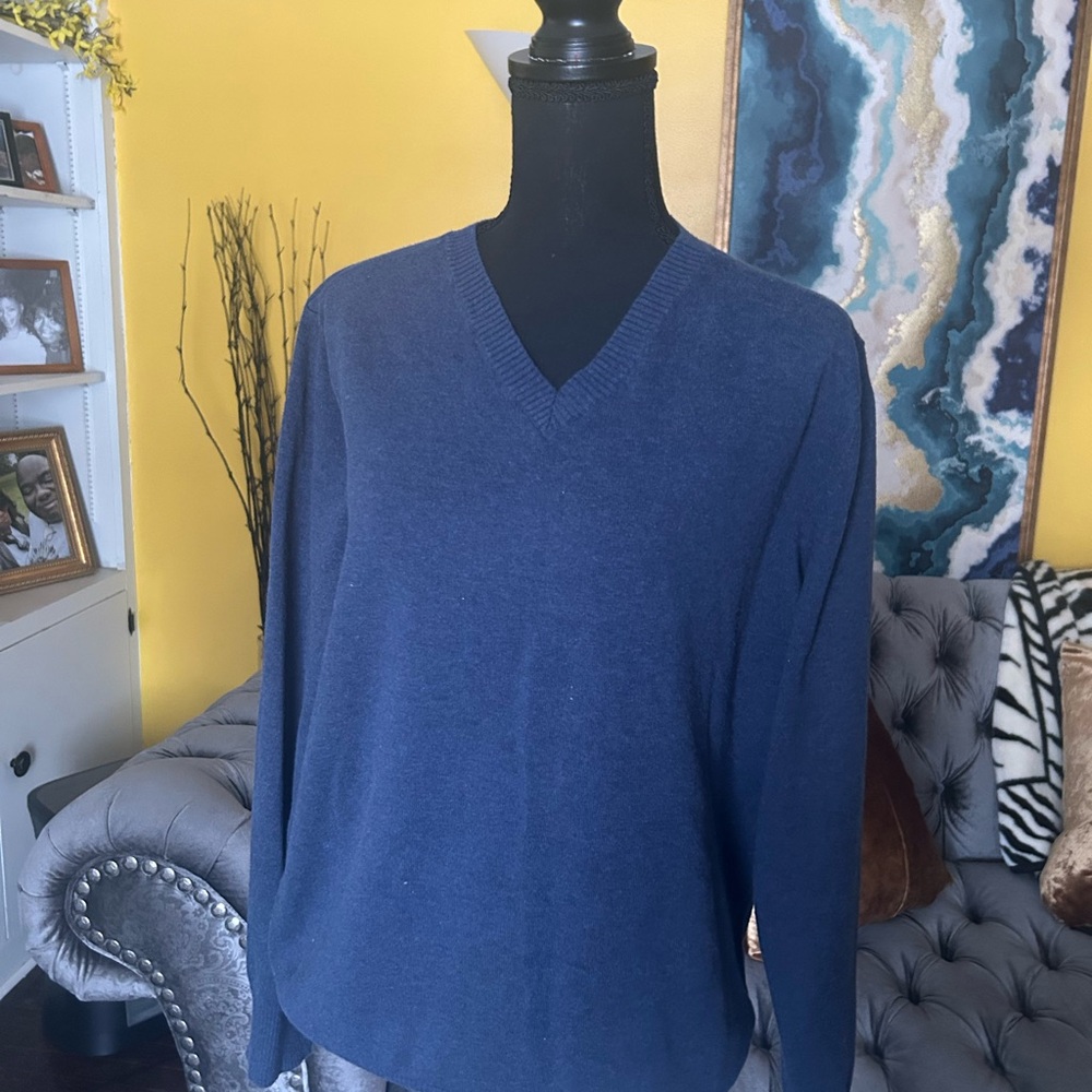 Banana Republic Men Blue V-Neck Sweater